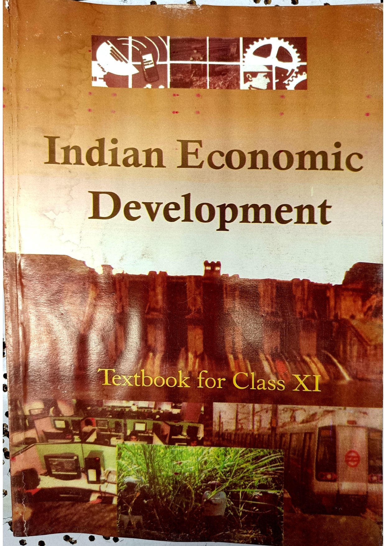 NCERT-Indian Economic Development